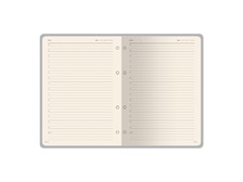 Ежедневник недатированный B5 Toscana, серый