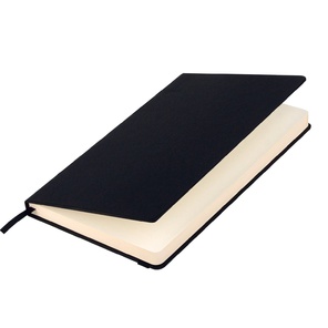 Ежедневник недатированный Canyon BtoBook, черный